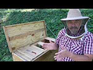 Conversion Hive 2 Week Check