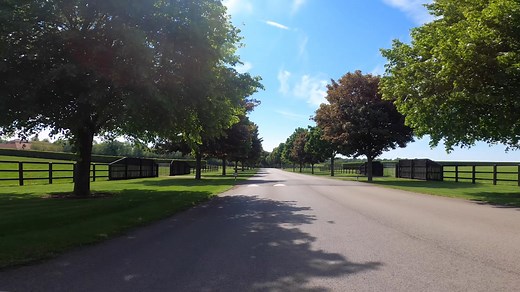 😍 Join us for a virtual driving tour of Dalham Hall Stud in Newmarket! Did you know that 2021 marks 40 years since the stud was purchased to form the beginnings of Godolphin's Newmarket operation? 🇬🇧 The stud itself is split into two parts, with one area used as a private stud for Godolphin mares and their progeny, and the other home to the UK-based Darley stallions 🐴 | Godolphin