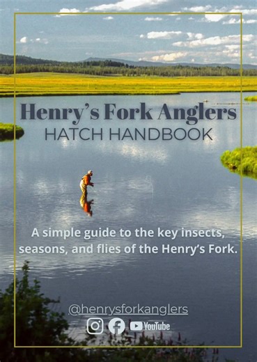 We’re excited to announce the release of our Henry’s Fork Anglers Hatch Handbook! This free resource walks you through the lifecycles of the primary aquatic insects found on the Henry’s Fork, how to fish each hatch, and which flies to have on hand. Built from 50 years of experience on the river, we’ve also linked many of our favorite patterns and assortments to make filling your fly box easy. Head to our website to download your free copy and fish the Henry’s Fork with confidence. https://henrys