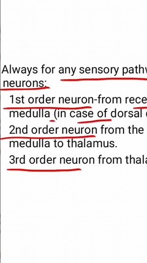 3 Orders of sensory pathway