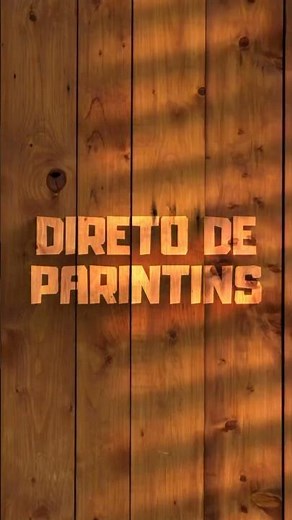 Launch of the Parintins Festival live from the Island of Magic.