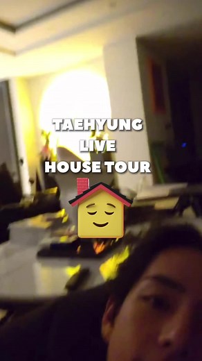 Taehyung BTS House Tour: Exclusive V Apartment Revealed!