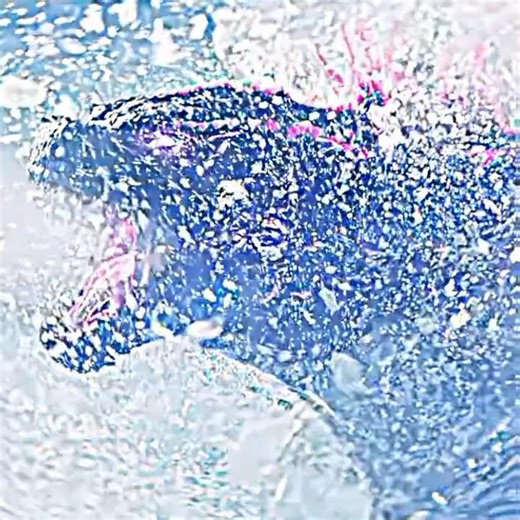 random godzilla edit #viral #godzilla #edit ##monsterverse #fyp #fypシ