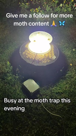 Shropshire Moths on TikTok