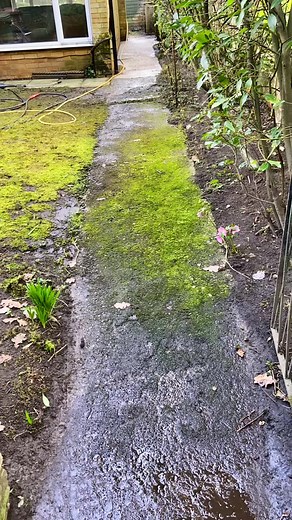 Professional Jet Washing for Satisfying Results