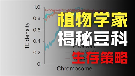 NG重磅丨豆科植物泛基因组解析作物多样化分子机制