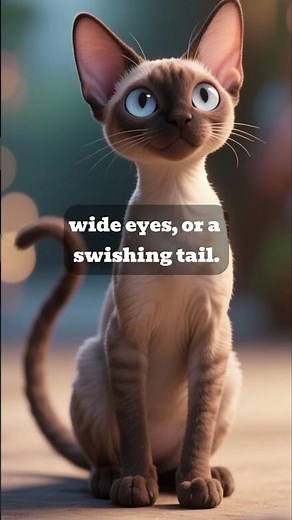 Cat Growling? Here’s Why!