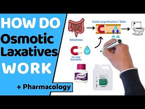 How do Osmotic Laxatives Work? (EASY Pharmacology)