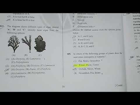Neet Ranker Test series 2026 pw#with analysis