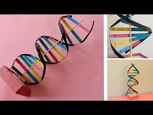 MY PROJECT: DNA Model! (DIY & school project ideas)