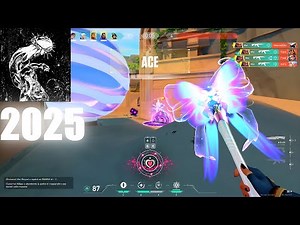 2025: Valorant Aimers
