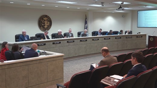 Lexington County residents voice concern over potential 75-acre land clearance proposal