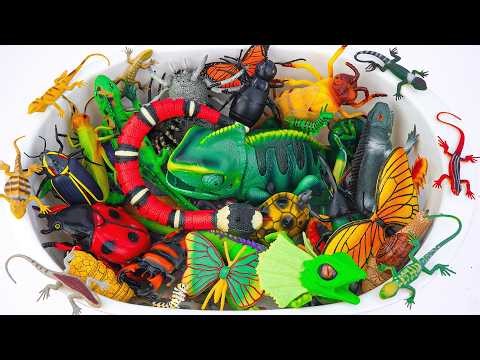 122 Mins ZURU Robo Alive Insects ASMR 🦎 Lightup Chameleon, Snake, Butterfly, Bee, Lizard