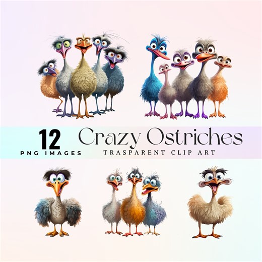 Watercolor Crazy Ostriches Clip Art: Funny Savanna Animals PNG (digital Download) - Etsy