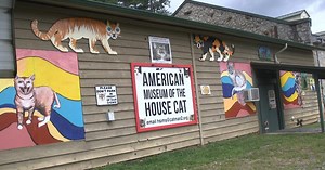 The American Museum of the House Cat