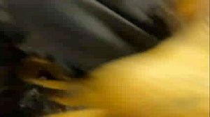 5.4K views · 221 reactions | Paratroopers from 3-319 Airborne Field Artillery Regiment on Thursday, February 24th conducted a heavy-drop and static-line airborne operation onto Fort Bragg’s Sicily Drop Zone to conduct live-fire operations. #AATW #LivingTheLegacy #UnbeatableLGOP #KingOfBattle | 1st Brigade Combat Team, 82nd Airborne Division | Facebook