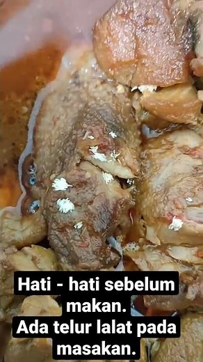 Telur lalat ditemukan pada masakan #telurlalat #jorok #makanan