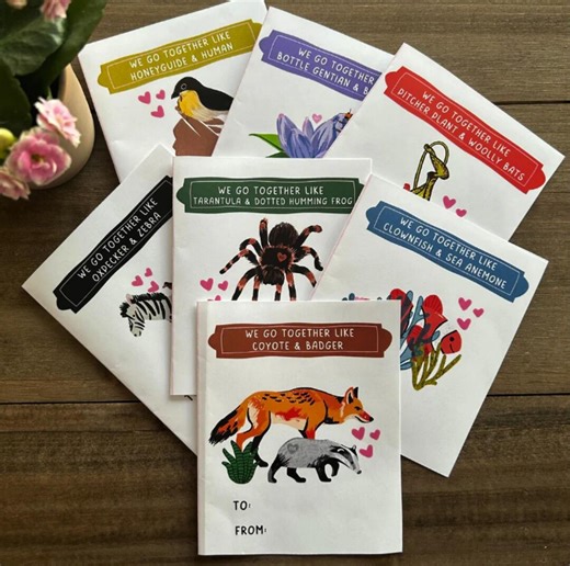 Printable Symbiotic, Animal Relationships Nature Valentine Cards - Etsy