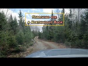 Maine Northwoods Deer Hunting - Ep. 2