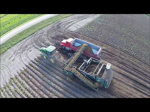Potato Harvest in North Dakota Aerial Video (long version)