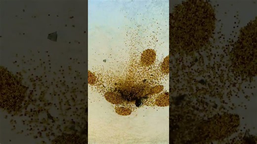 3D bottle simulation