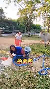 funny memes man vs cow #funny #shortsfeed #comedyvideos