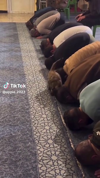 Video's van Appie Rotterdam (@appie.2023) met origineel geluid - Appie Rotterdam