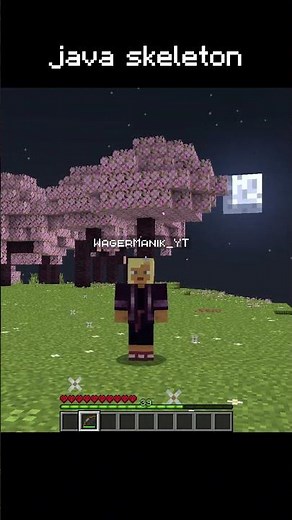 Java Skeleton VS Bedrock Skeleton 💀