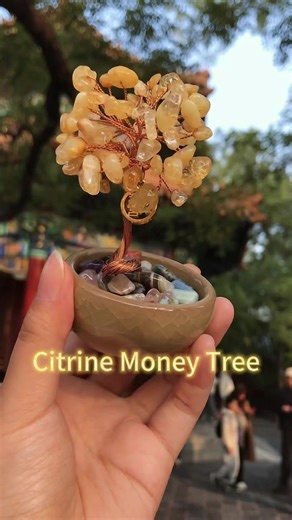 ✨【Citrine Money Tree | Attract Wealth & Good Fortune】✨ Citrine has long been known as the “Stone of Wealth.” In feng shui traditions, it symbolizes attracting prosperity, enhancing career luck, and inviting helpful opportunities. A glowing citrine tree gathers positive energy, bringing a stronger, more harmonious atmosphere to your space—while allowing good luck and abundance to flow naturally into your life. #CitrineTree #WealthAttractor #FengShuiDecor #ProsperityEnergy #GoodLuckCharm