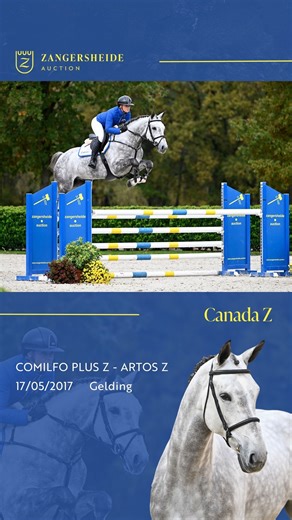 131 reactions · 11 shares | #zangersheideonlineauction Athletic...