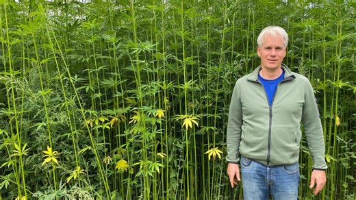 BR Story : Multitalent Hanf · Hosen und Baustoffe vom Feld