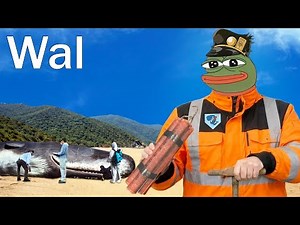 Der tote Wal am Strand von Oregon