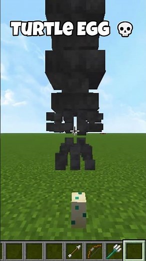 Minecraft Turtle Eggs ☠️