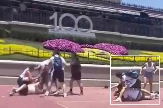Brawl breaks out at Disney World after family refuses to move for photo op