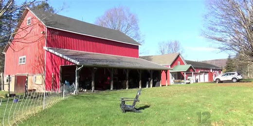 Sipple’s Tree Farm to not open for Christmas season due to frost