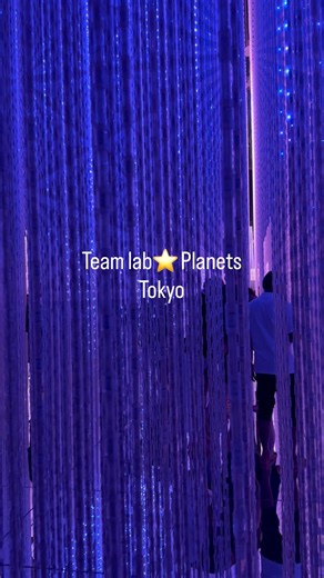Team lab Planets Tokyo