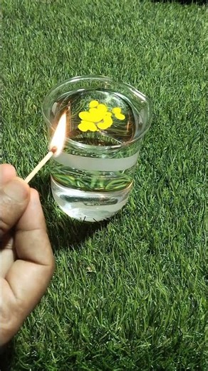science experiment videos #shortvideo #viralvideo #science #parabolicpathshala