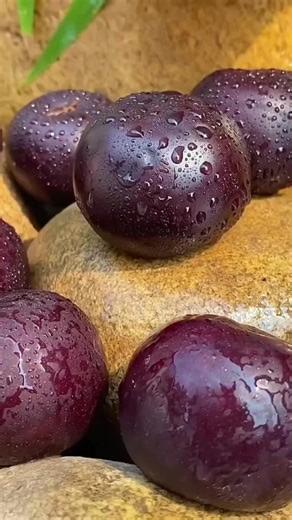 Amazing Fruits: A Visual Delight for Your Senses