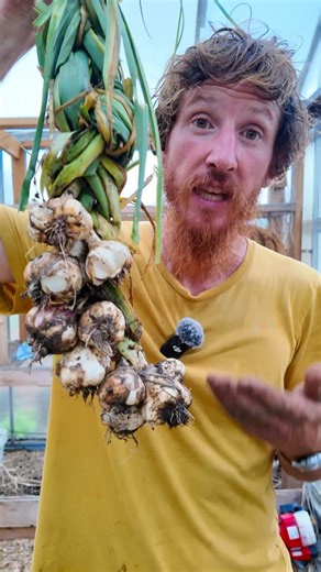 Little Farm Land | 🌱🧄 Learn how to braid garlic like a pro! In this quick tutorial, I’ll show you step-by-step how to create beautiful, long-lasting garlic... | Instagram