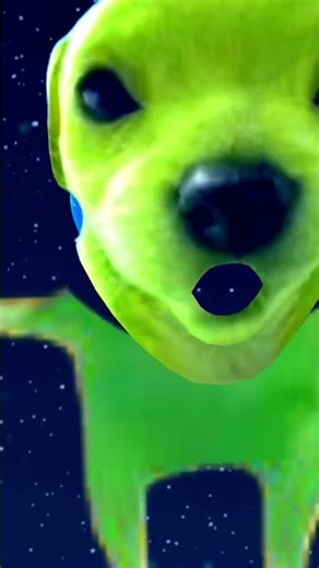 24 มีนาคม 2569