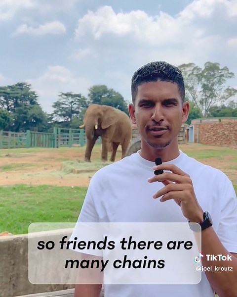 Romans 12:2 Do not conform to the pattern of this world, but be transformed by the renewing of your mind. 🧠 🐘 #christiandevotional