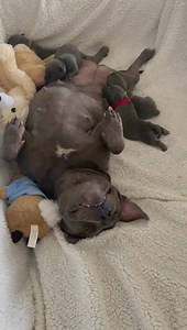 71K views · 5.4K reactions | Peggy have you got time to play ? Molly I am just feeding at the moment and I will have time to play after that . That’s ok I’ll come in and play . I’m so grateful to have you in my life . I love you Molly  | Peggy and Molly | Facebook