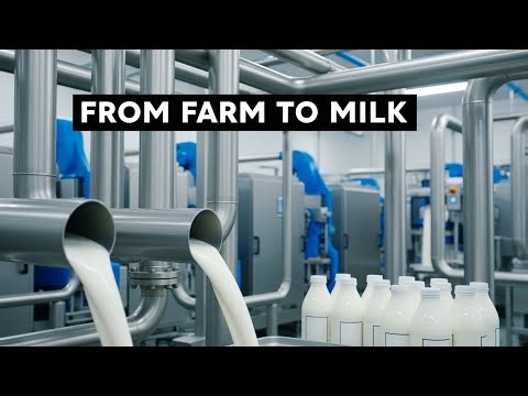Most Modern Dairy Production Facility - From Dairy Farm to Drinking Milk