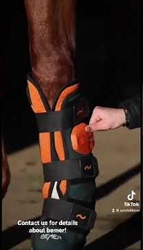 BEMER Horse Set demonstration! Watch how to use and contact us for more info on horse bemer pemf