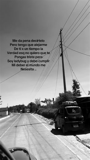 #ladybug #fypシ゚ #reflexion #amigos | ladybug