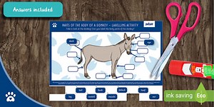 Parts of the Body of a Donkey - Labelling Activity
