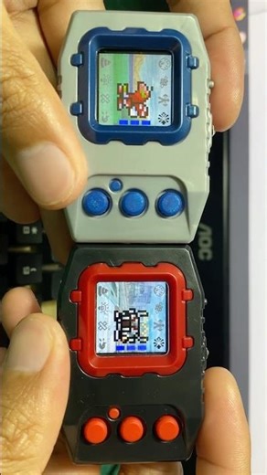 Digimon Pendulum Battle : Tentomon VS Kokuwamon