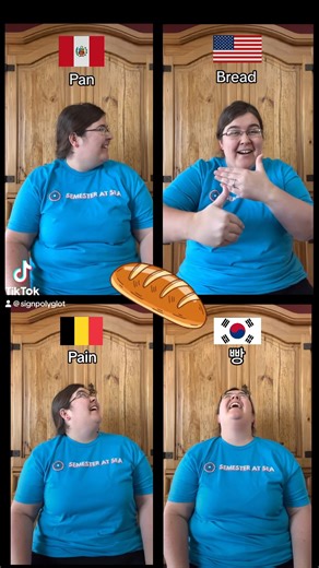🍞 How to sign BREAD in ASL, Peru 🇵🇪 Belgium 🇧🇪 South Korea 🇰🇷 Sign Language