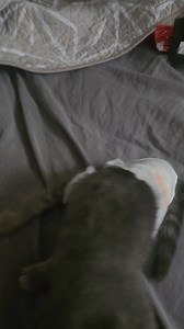 22K views · 1.7K reactions | Grace is still fighting the diapers....