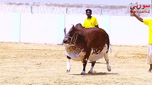 3.5K views · 447 reactions | ‎ ﷽ قُلِ اللّـٰـهُـمَّ مَالِكَ الْمُلْكِ...